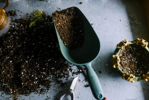 A School Garden Can Make Science Less Abstract
