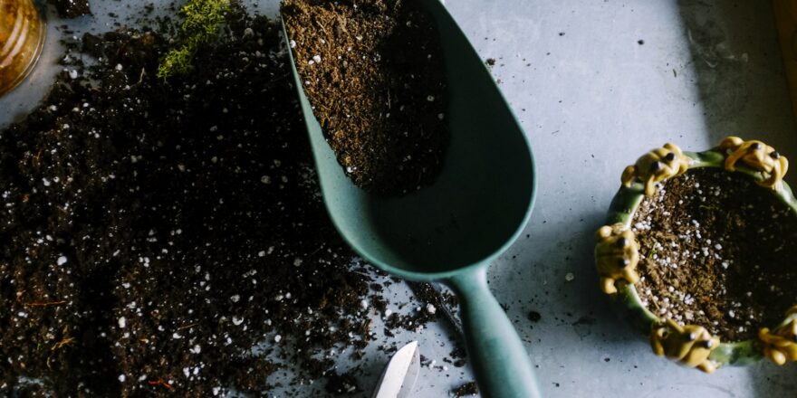 A School Garden Can Make Science Less Abstract